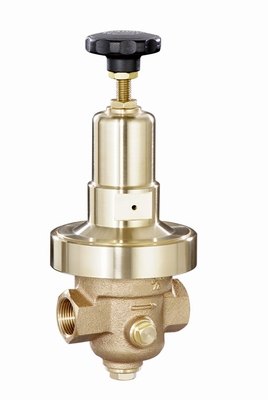 BERLUTO DRUKREDUCEERVENTIEL DRV 250 DN 25 - 1